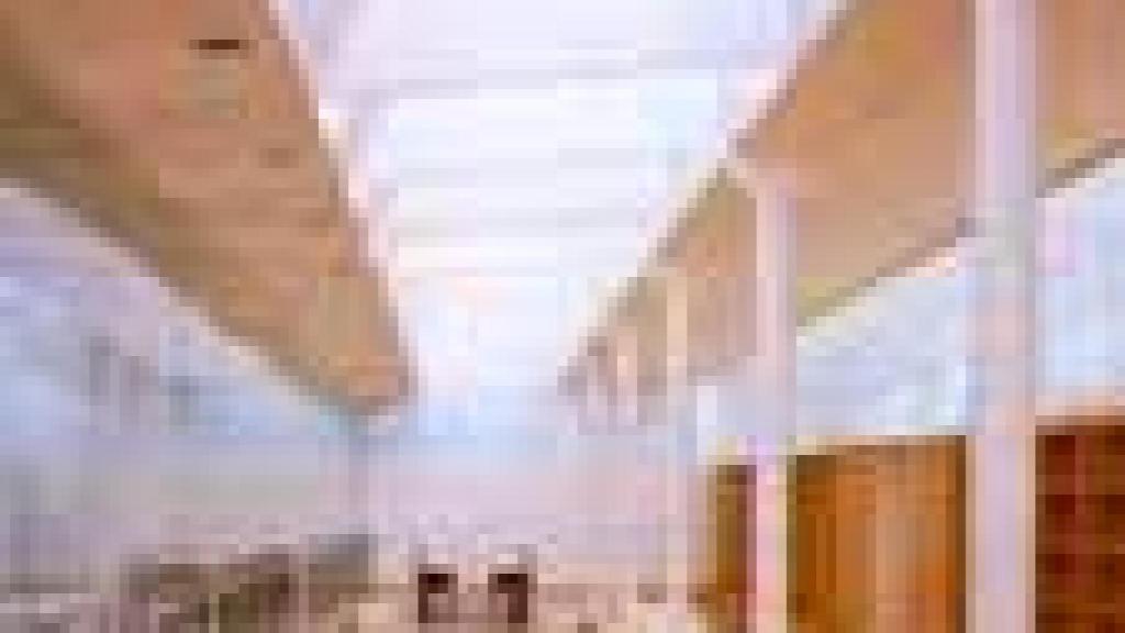 Image: Juan Navarro Baldeweg firma el edificio que alberga la neocueva