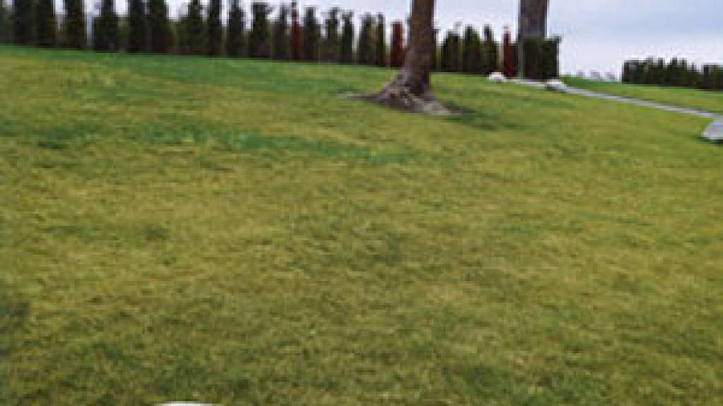 Image: Penone y Ufan, tiempo y materia en Arlés