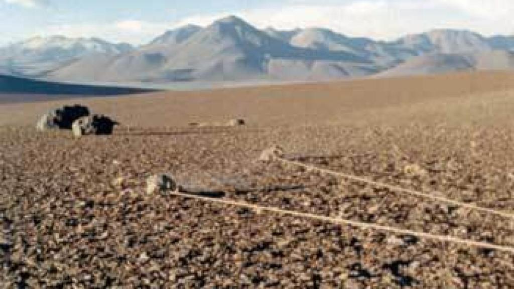 Image: Sobre el ser y la sombra