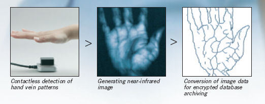 PALM secure science PIC