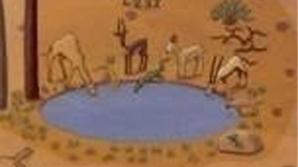 Image: Los animales del desierto