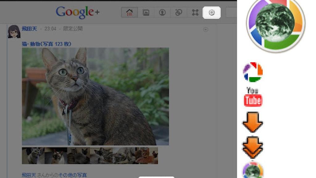 downloadsupport-google-plus