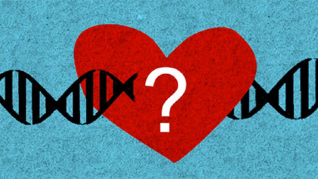 Image: Amigos de sangre