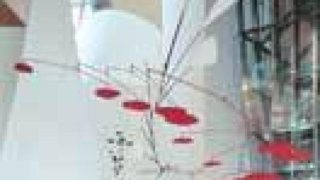 Image: Calder, la poética de la ingravidez