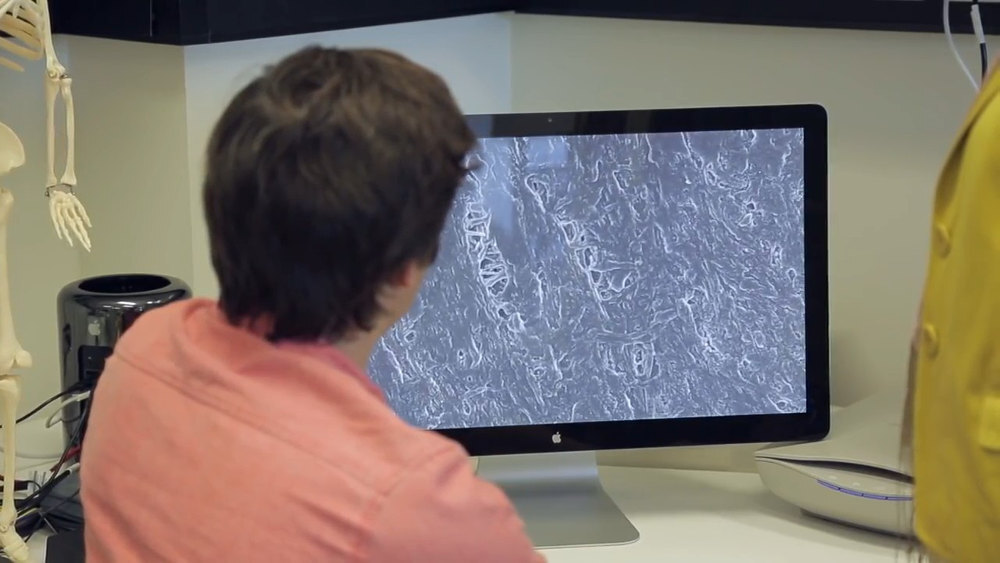 google maps cuerpo 3