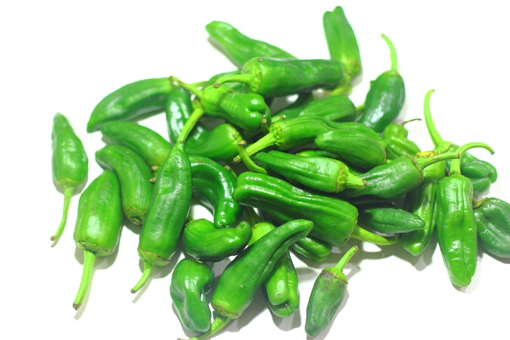 Unos pimientos de Padrón para acompañar