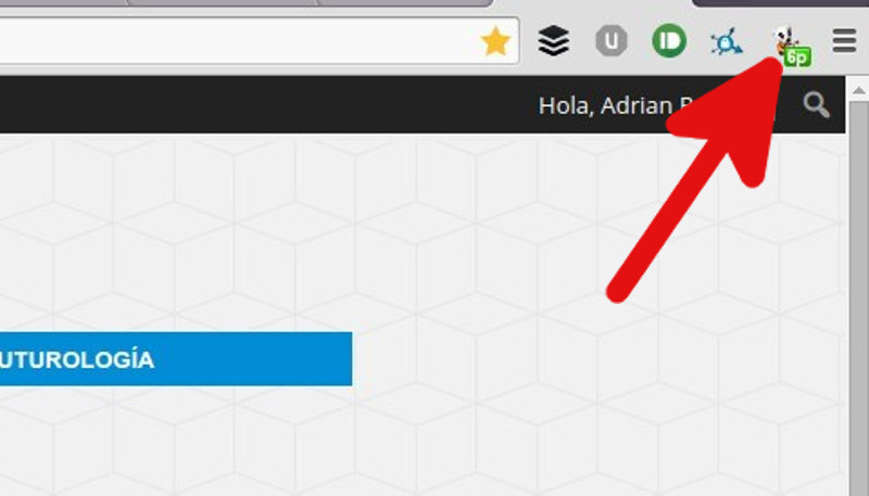 animal crossing musica 1
