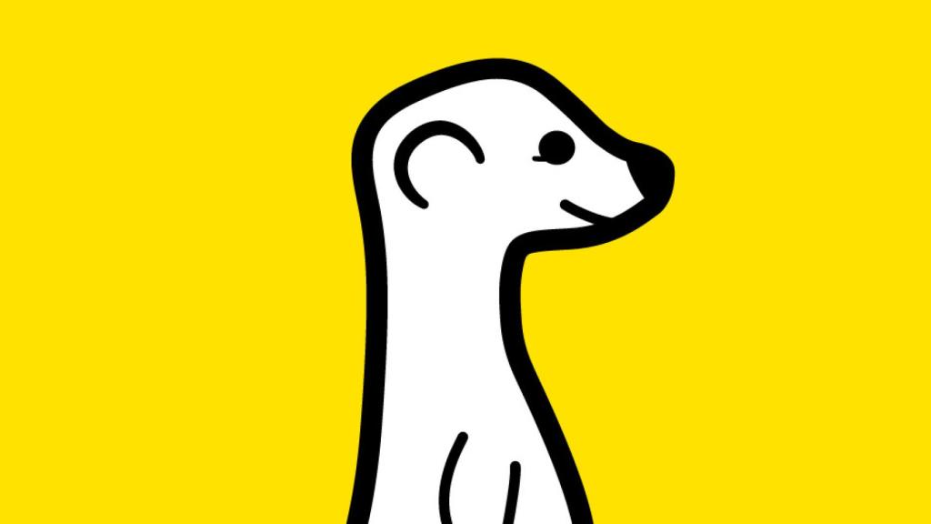 Meerkat llega a Android, retransmite vídeo en directo por Twitter