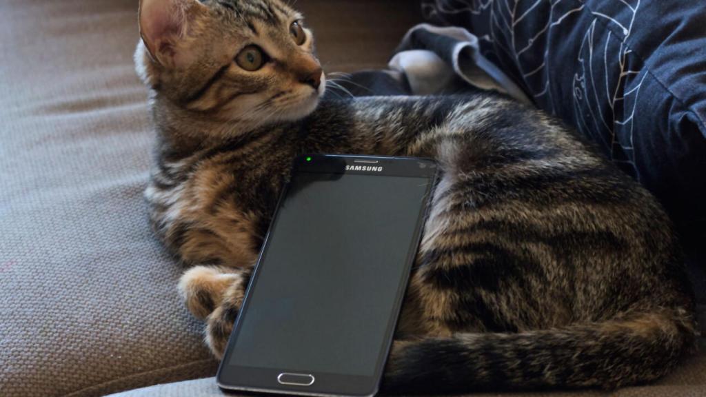 Los Samsung Galaxy Note 4 libres actualizan a Lollipop en España