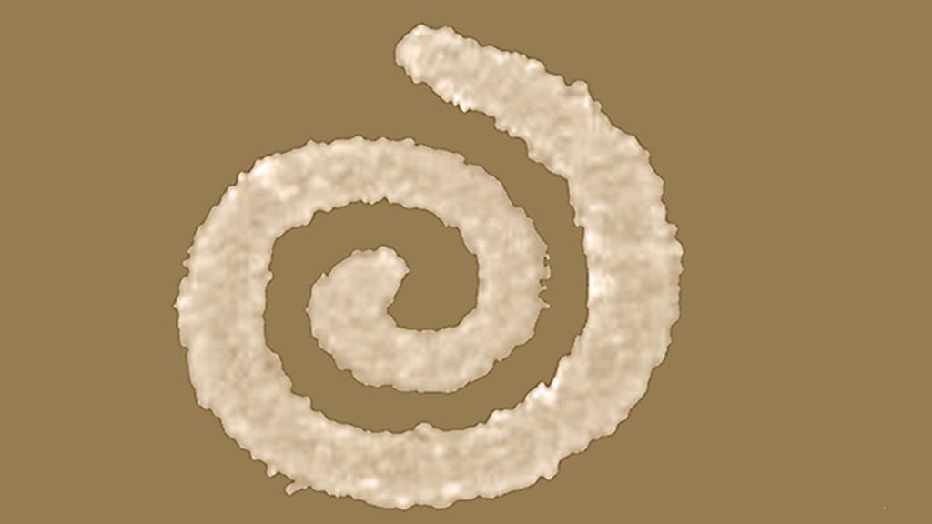 espiral falsificacion 1