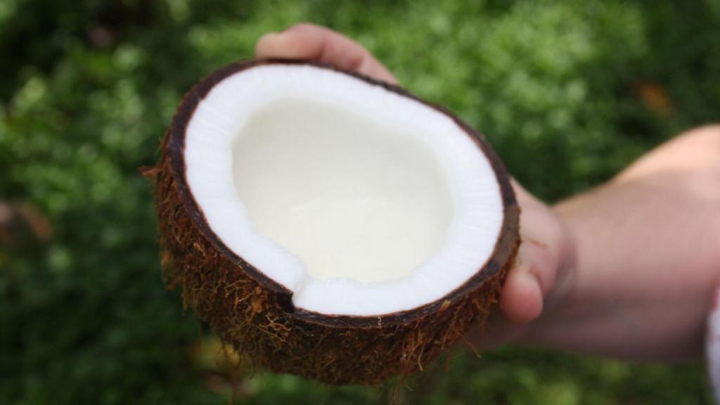 Cómo abrir un coco sin destrozarlo