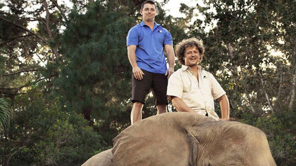 A&E enseña los peligros de trasladar animales en 'Transportes salvajes'