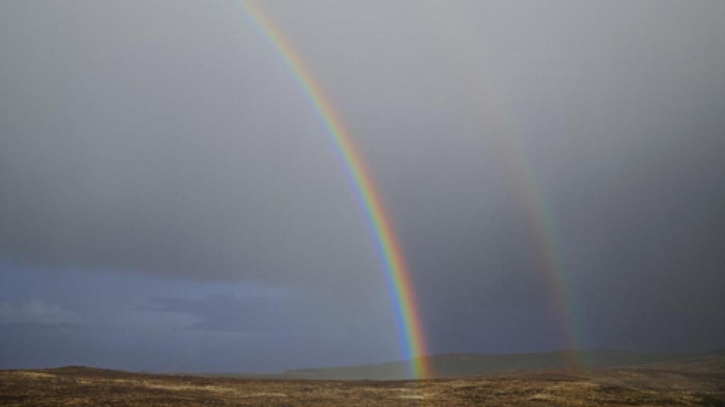 Image: Los sueños de Paul Graham
