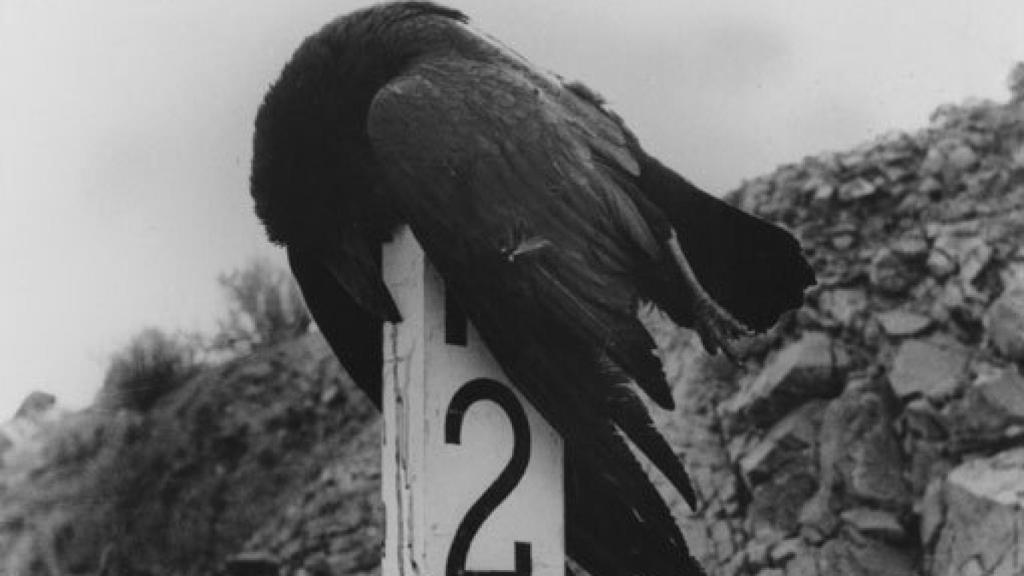 Image: Lola Álvarez Bravo, la fotógrafa que se rebeló