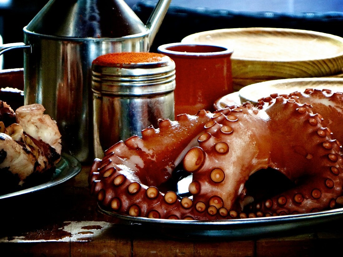 cocer-pulpo-01