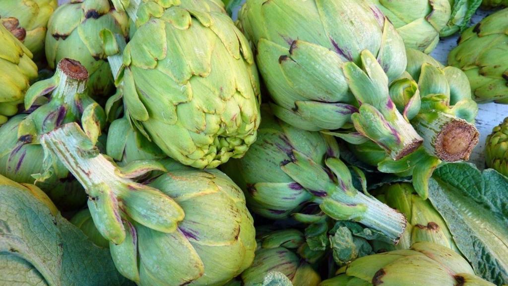 alcachofas-00