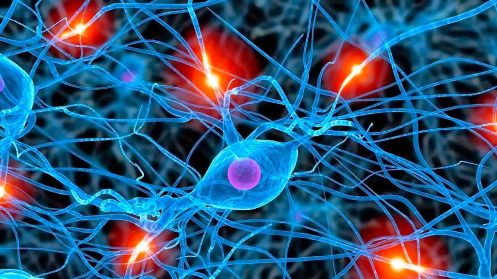 celulas-cerebrales