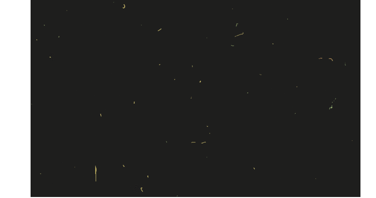 3049500-slide-s-5-hypnotizing-doodles-show-the-beautiful-side-of-coding