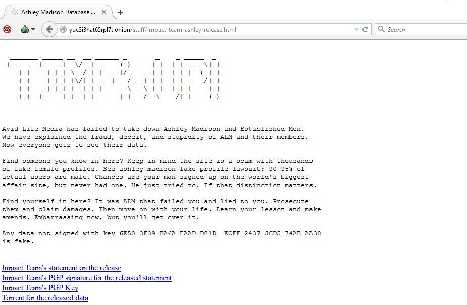 ashley madison hacker 6