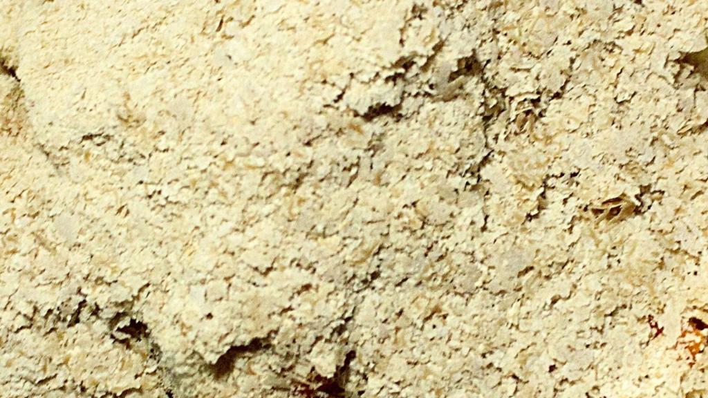 levadura-nutricional