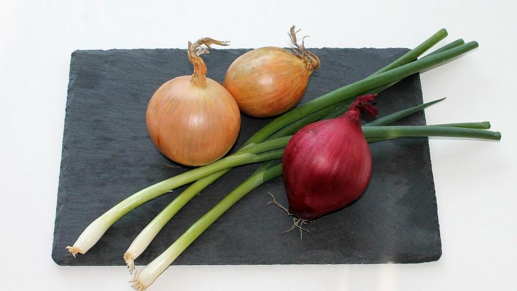 cebollas-00