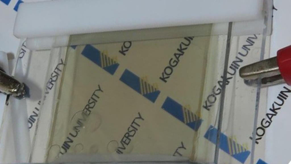 bateria transparente port