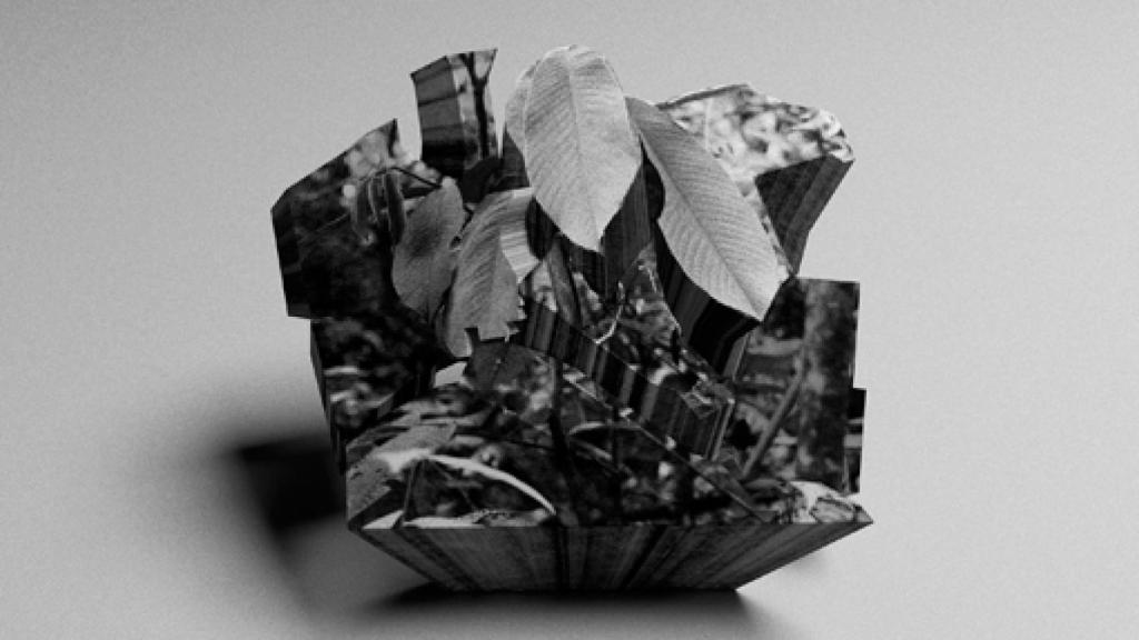 Image: Paloma Polo, ¿de qué lado estás?