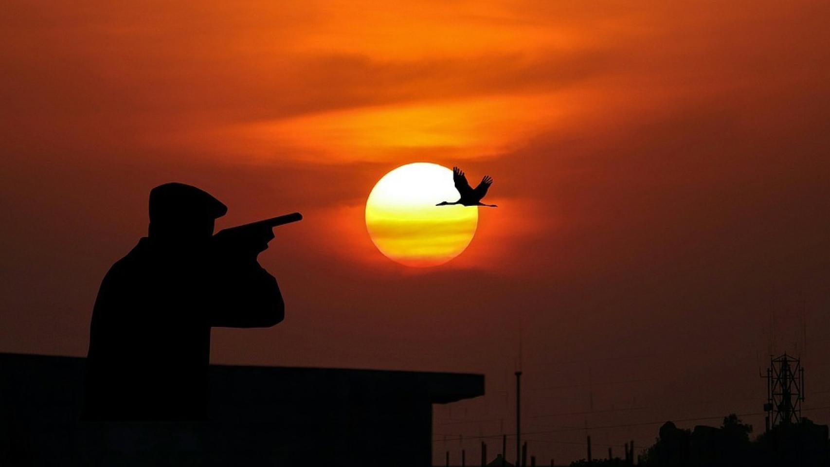 Fernando Alonso en el pasado Gran Premio de Singapur.