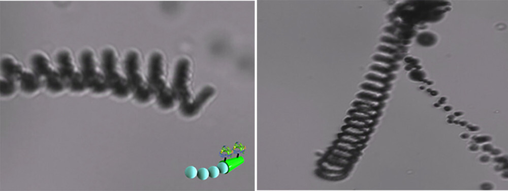 micromotor contaminacion 2
