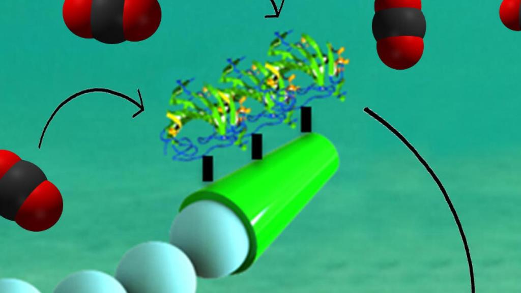 micromotor contaminacion 1