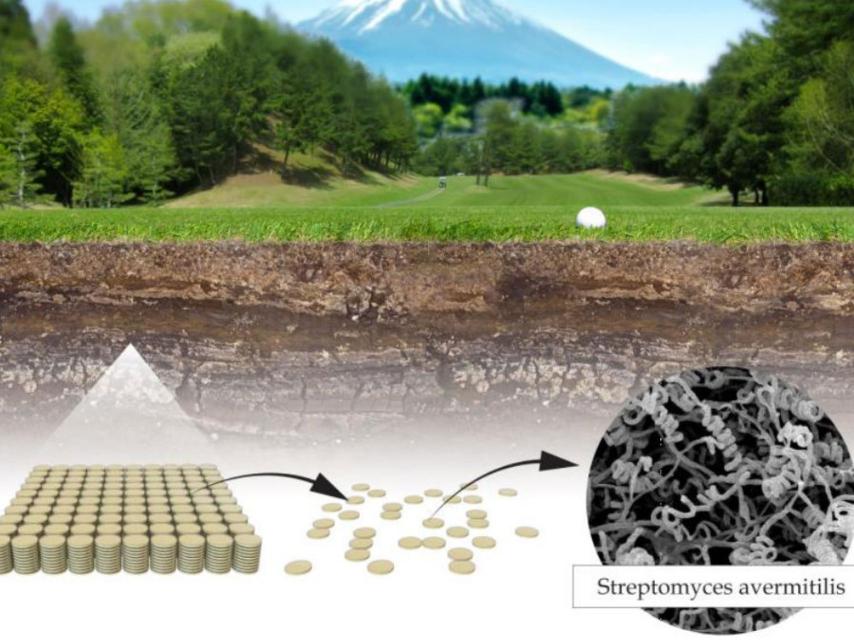 Dramatización del hallazgo de la bacteria Streptomyces en un campo de golf.