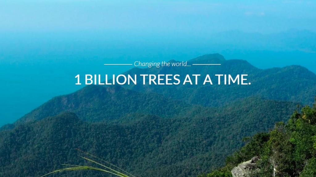 reforestacion-drones