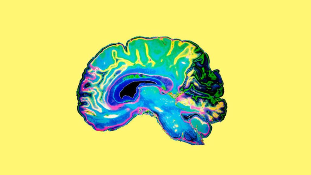 predecir_inteligencia1