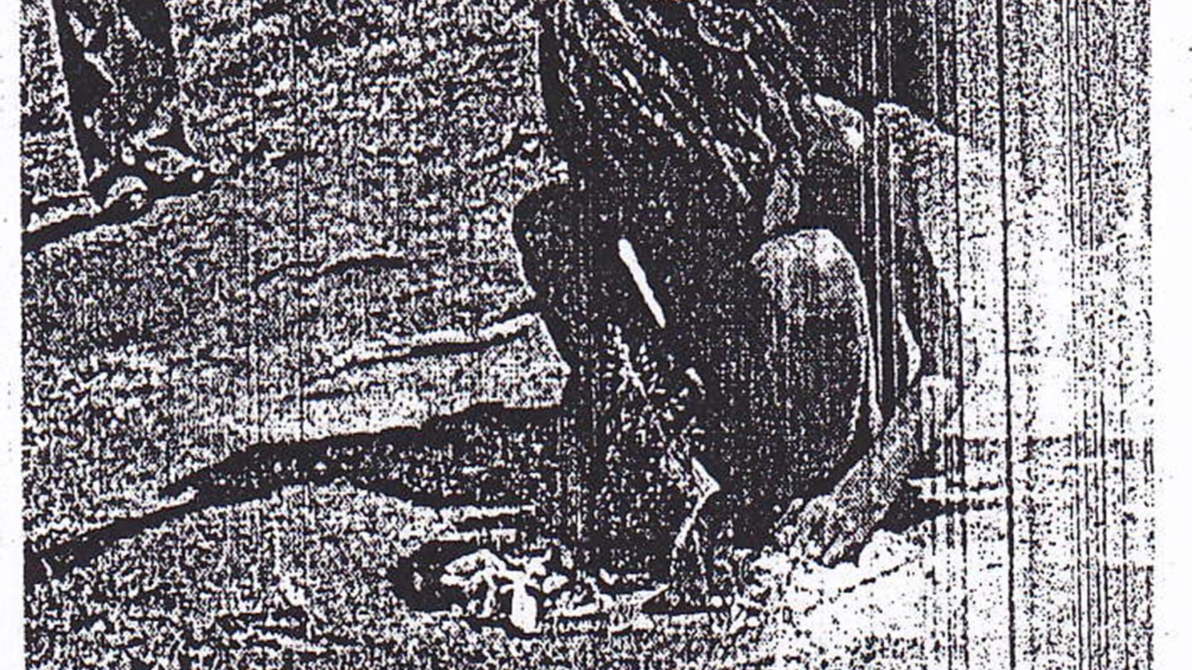 Así era Francisco cuando lo encontraron.