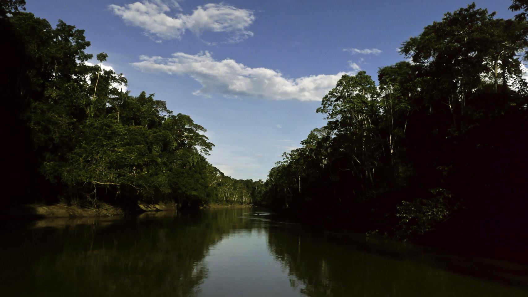 La selva ecuatoriana.