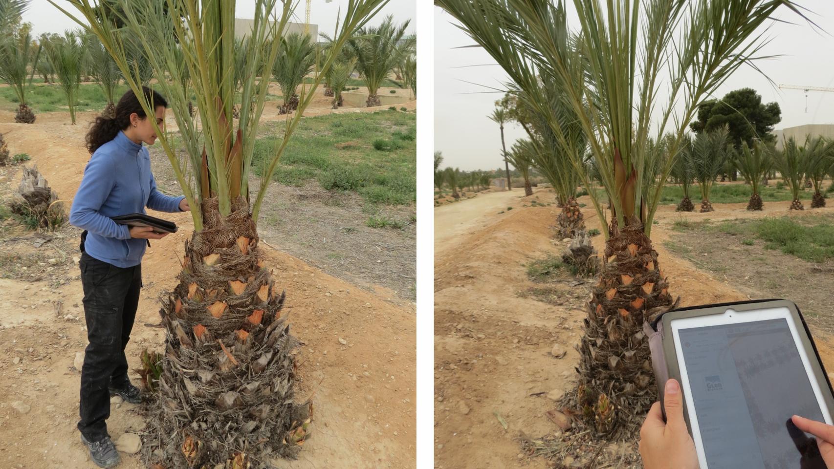 Lucía Anza, de Glen Biotech, haciendo ensayos de campo.