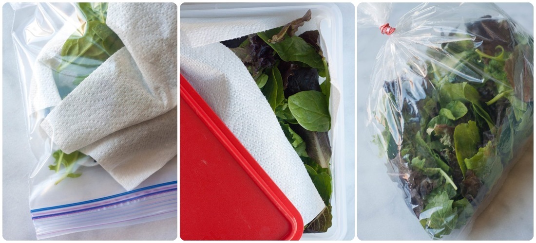 conservar-lechuga-02