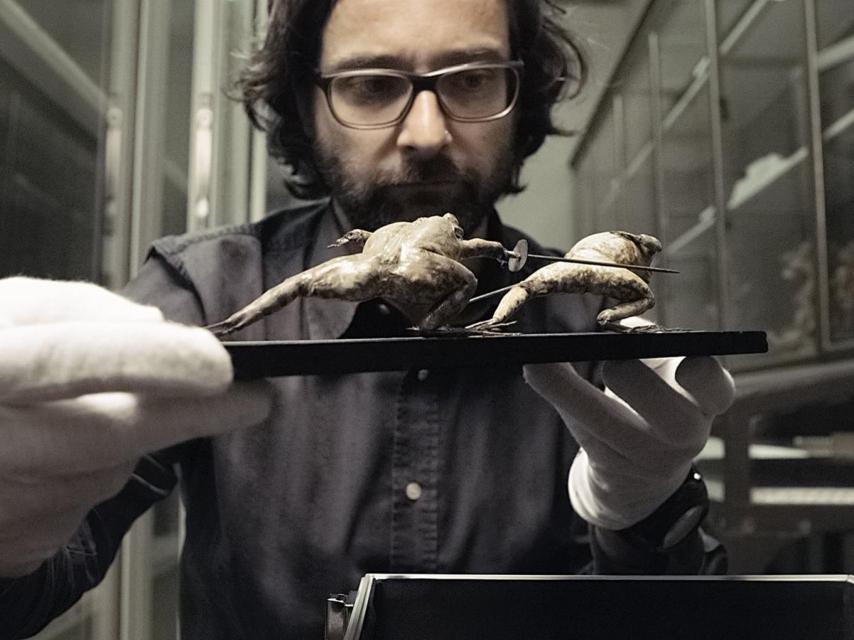 Los restauradores sufren colocando perfectamente las obras.