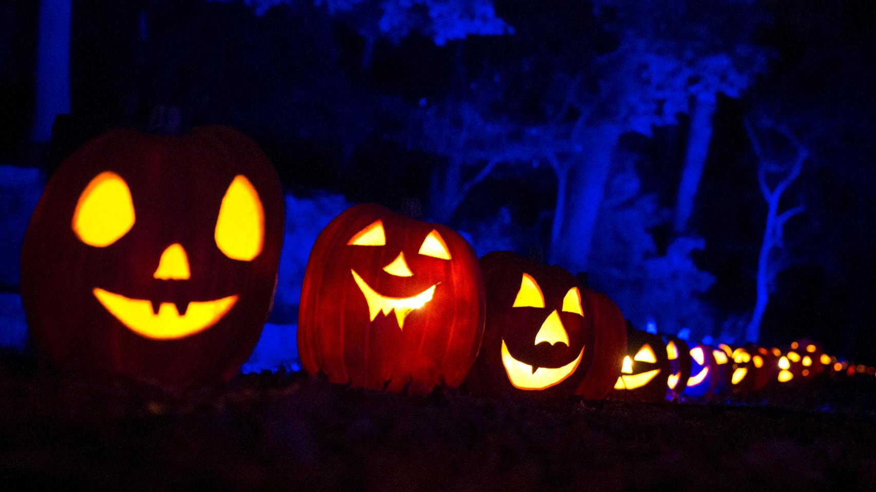 Exhibición de calabazas en Halloween en Nueva York.