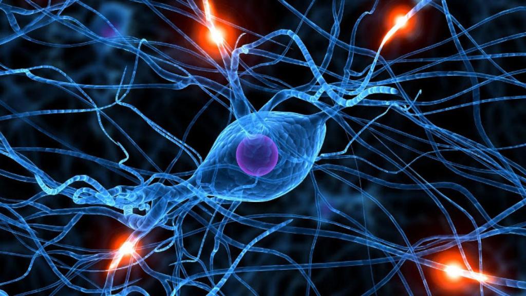 reparardañoscerebrales2