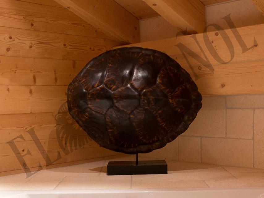 La decoración del baño.