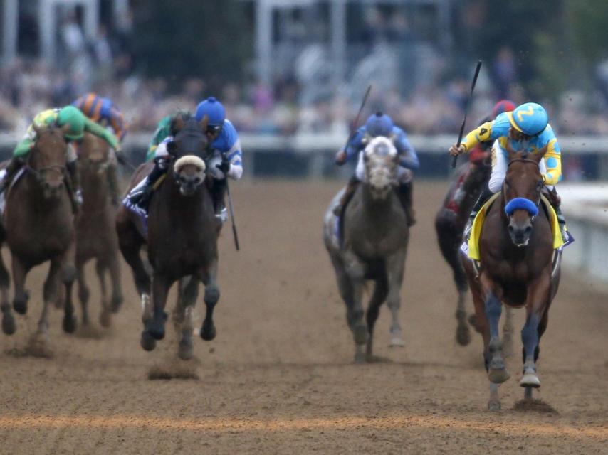 American Pharoah ha ganado 9 de las 11 carreras que ha disputado.