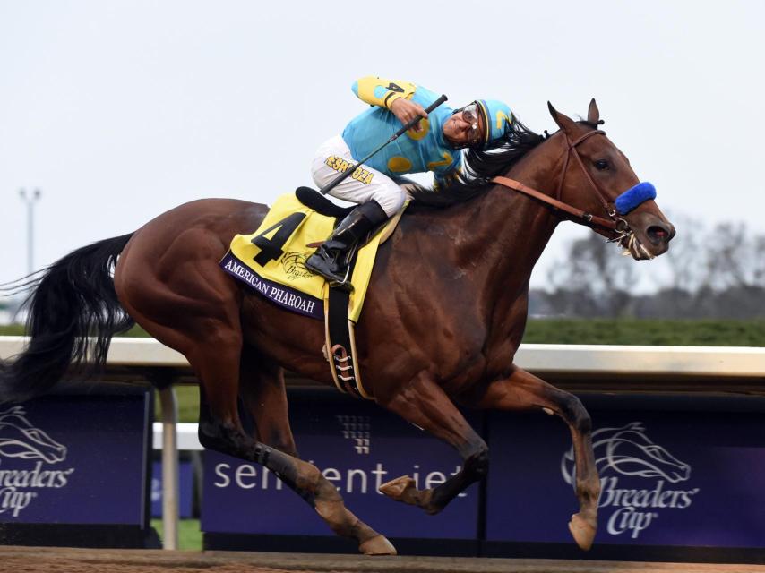 American Pharoah, durante su última victoria en la Breeder's Cup.
