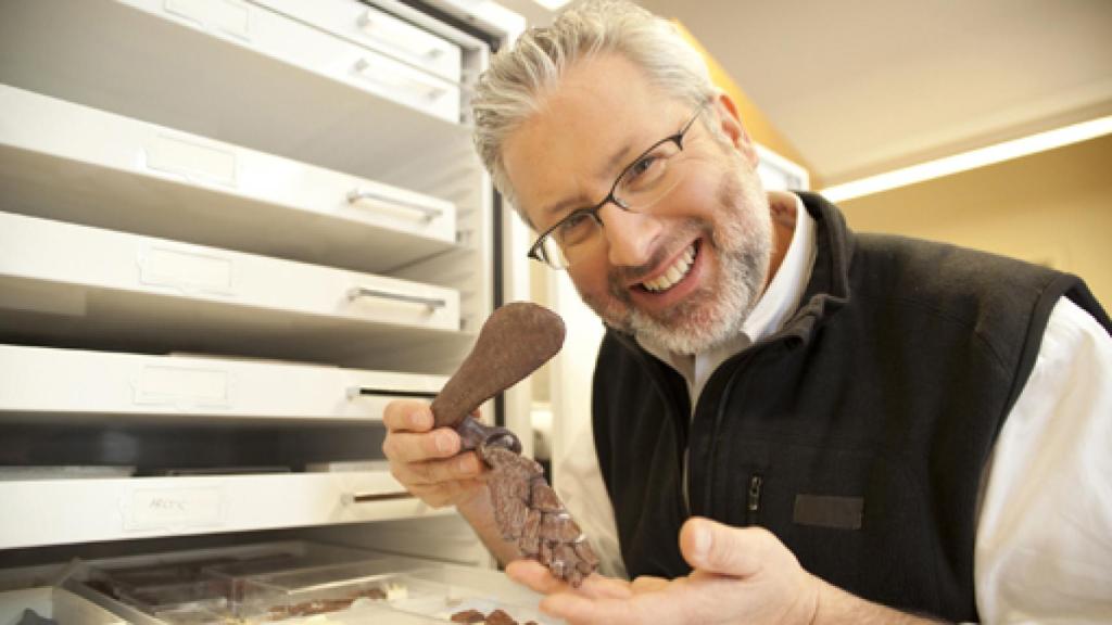 Image: Tu pez interior. 3.500 m. a. de años de historia del cuerpo humano