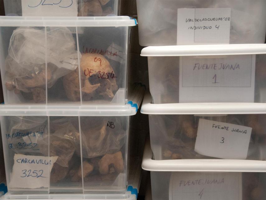 Restos obtenidos en fosas comunes, en el laboratorio de la Universidad Autónoma.