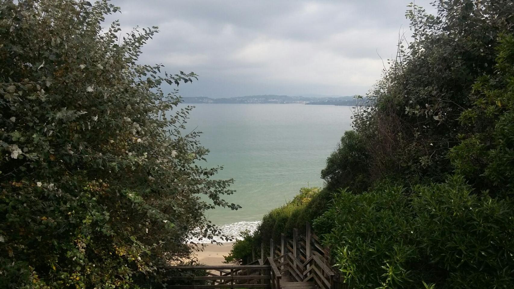 Escaleras de acceso directo a la playa desde la casa familiar de los Silva
