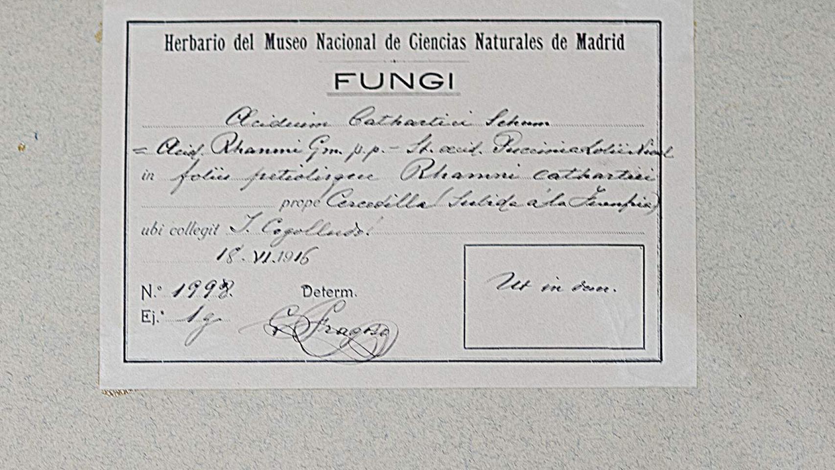 Una de las etiquetas del archivo histórico del RJB.