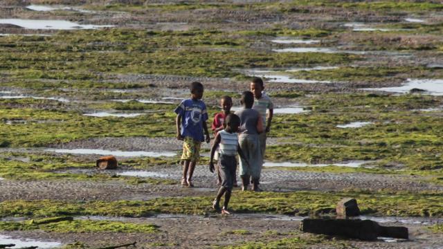 La masacre silenciada de la yihad