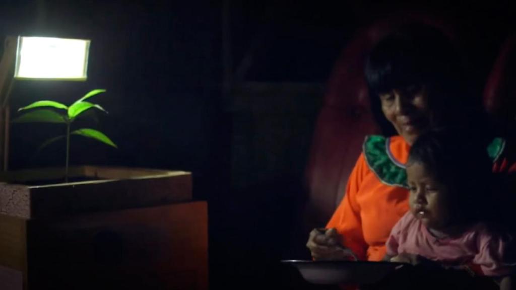 plantas-energia-tierra