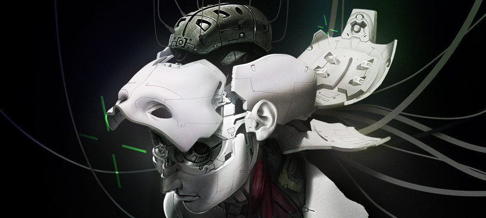 ghost in the shell cerebro ciborg